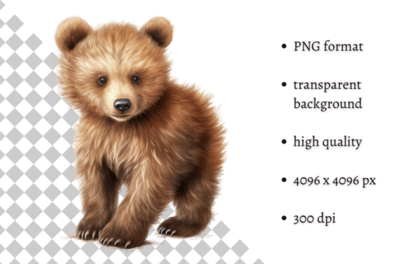 Download Watercolor Baby Bear PNG Clipart - Bear Collection