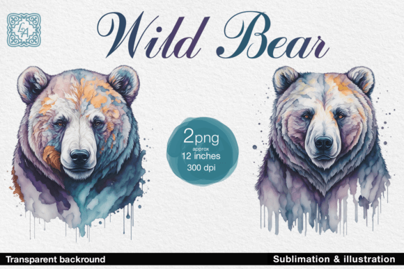 Download Wild Bear Illustration 2 PNG - Bear Collection