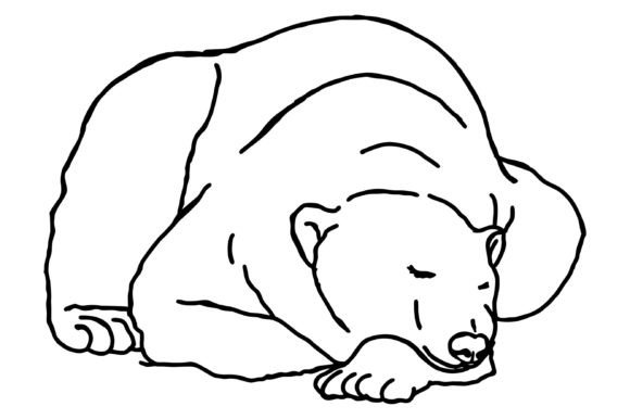 Download Sleeping Polar Bear Line Art Vector - Bear Collection
