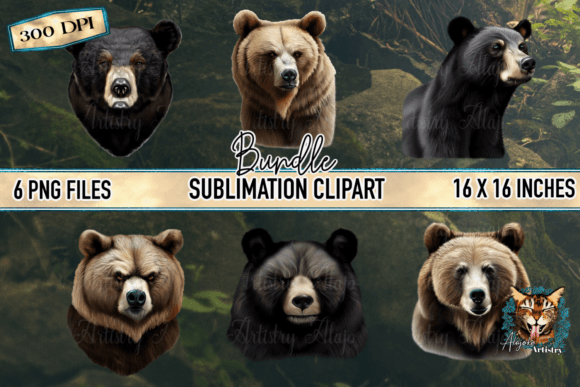 Download Realistic Bear Graphic Bundle - Bear Collection